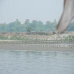 Vraj-Yatra-2014- (658)